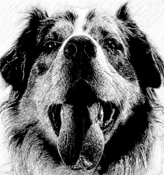 The Best Pencil Sketch Photo Effects