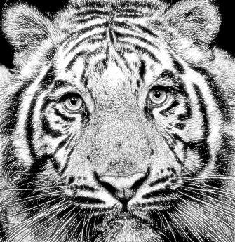 Realistic Pencil Sketch Photo Effect 13